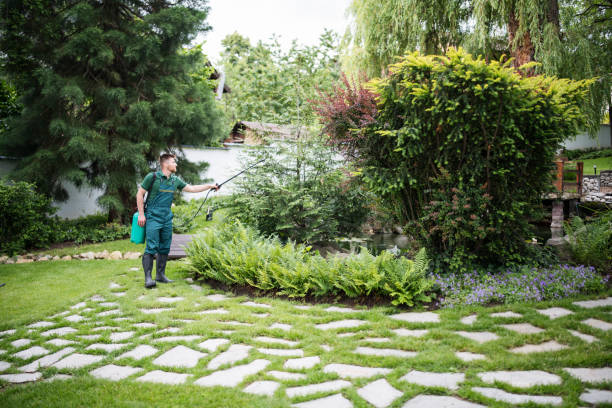 Best Wasp Removal Services  in Manatee Road, FL