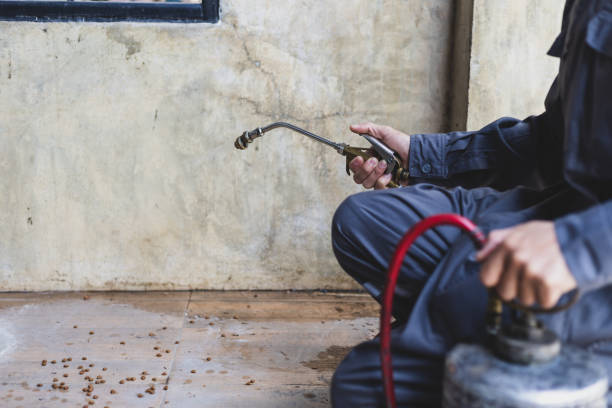 Best Residential Pest Control  in Manatee Road, FL
